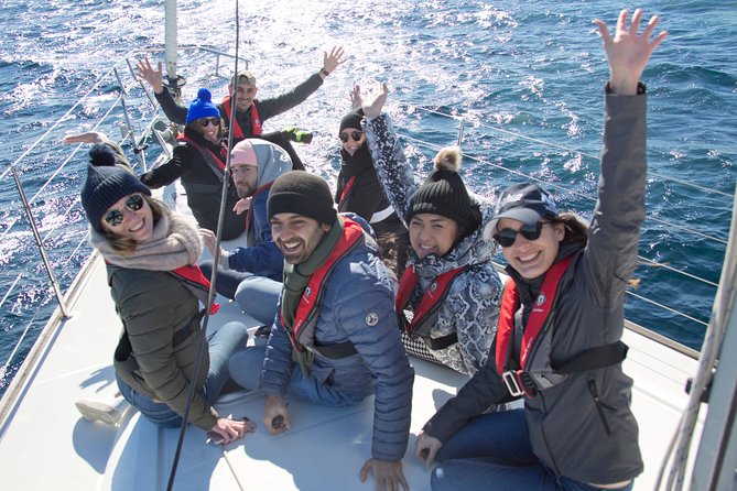 Whale Watching Sailing Experience in Sydney - From Rose Bay to Sydney Harbour, you start with the skyline
