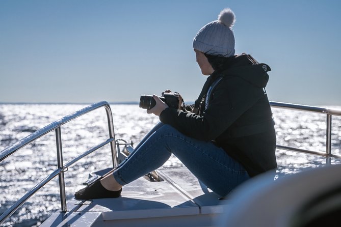 Whales of Sydney Sea Safari - The 2 hours 30 minutes: how the timing is built for spotting whales