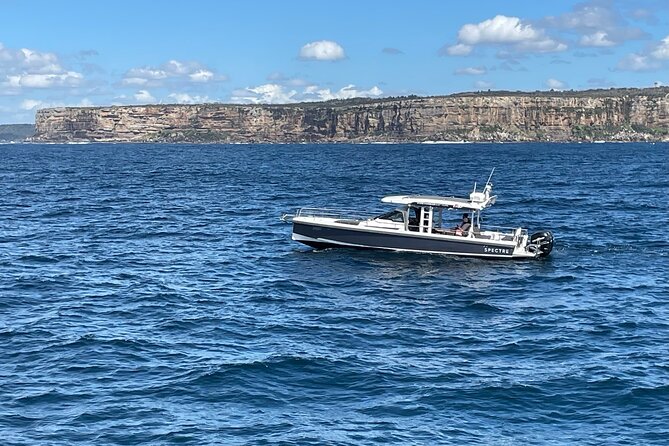 Whales of Sydney Sea Safari - The guide and captain factor: learning makes the hunt better