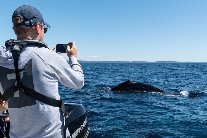 Whales of Sydney Sea Safari - Price and value: $1,420.14 per group (up to 8) and when it makes sense
