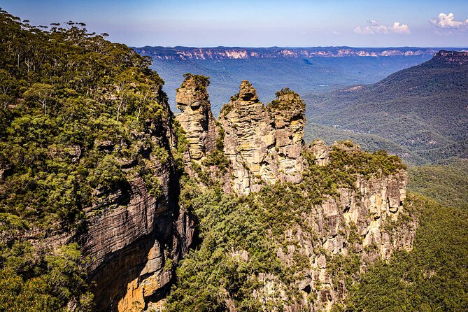 Wild Kangaroos, Blue Mountains and a Cruise - Leura Lunch: The Midday Reset That Makes the Whole Day Work