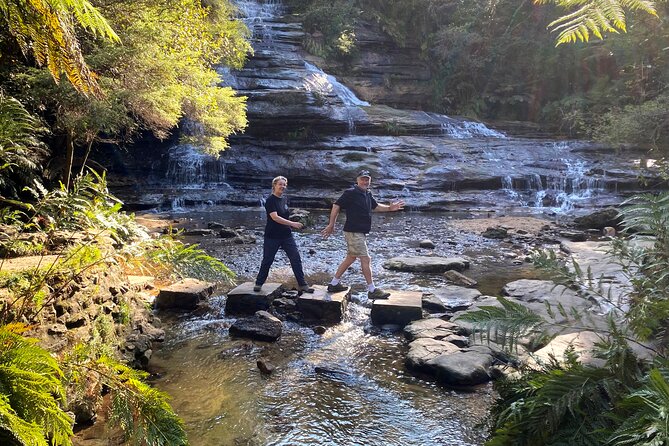 Wild Kangaroos, Blue Mountains and a Cruise - Who This Day Trip Fits Best (And Who Should Consider Alternatives)