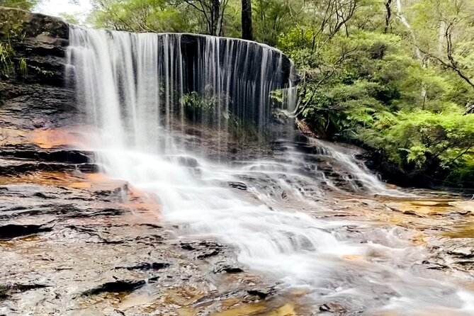 Wild Kangaroos, Blue Mountains and a Cruise - Featherdale Wildlife Park: More Than a Koala Photo Stop