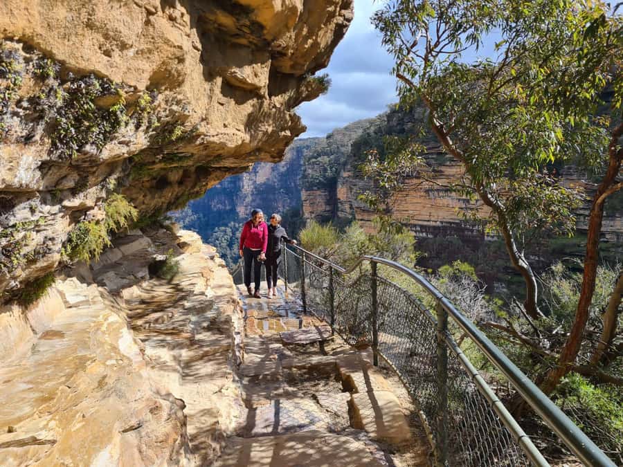 Wild Kangaroos & Blue Mountains private tour - Three Sisters and Cahill’s Lookout: Big Views With Meaning