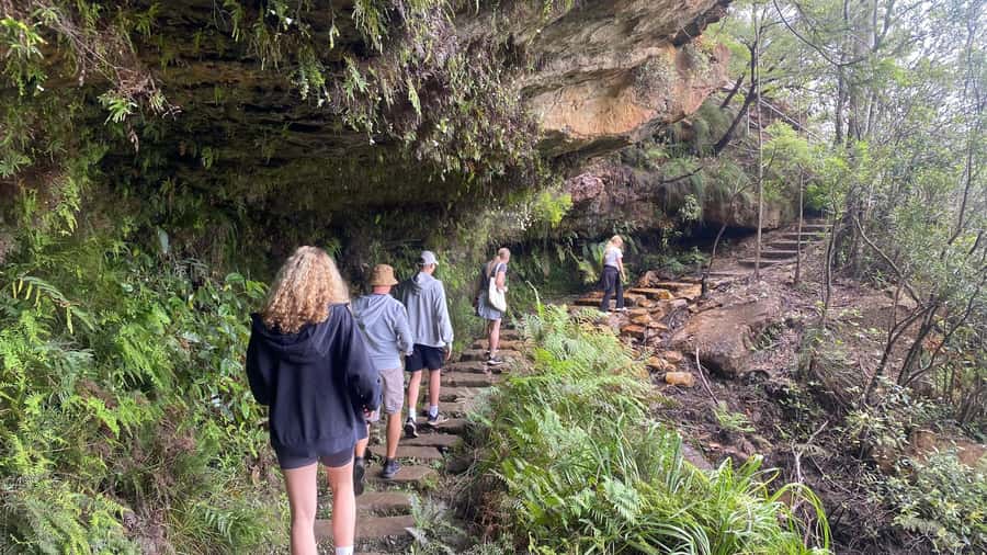 Wild Kangaroos & Blue Mountains private tour - The Final Secret Stop, Then Back Toward Sydney by Ferry