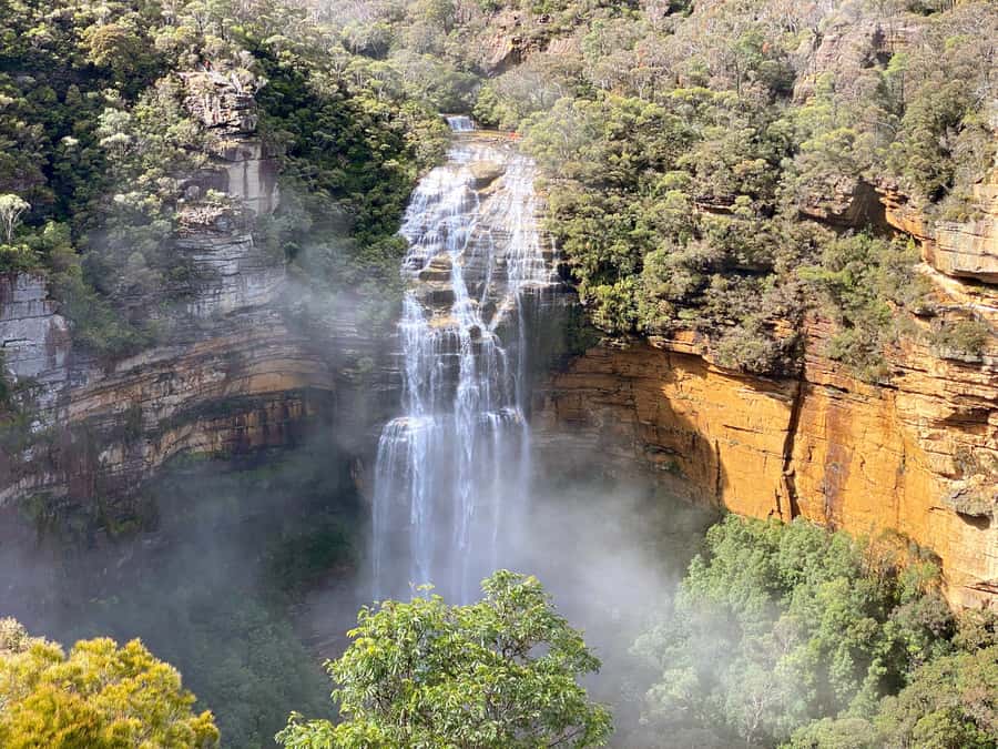 Wild Kangaroos & Blue Mountains private tour - Hotel Pickup and the Morning Flow From Sydney