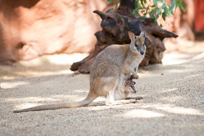 WILD LIFE Sydney Entrance Ticket - Your Entry Plan: How the Pre-booked Slot Actually Helps