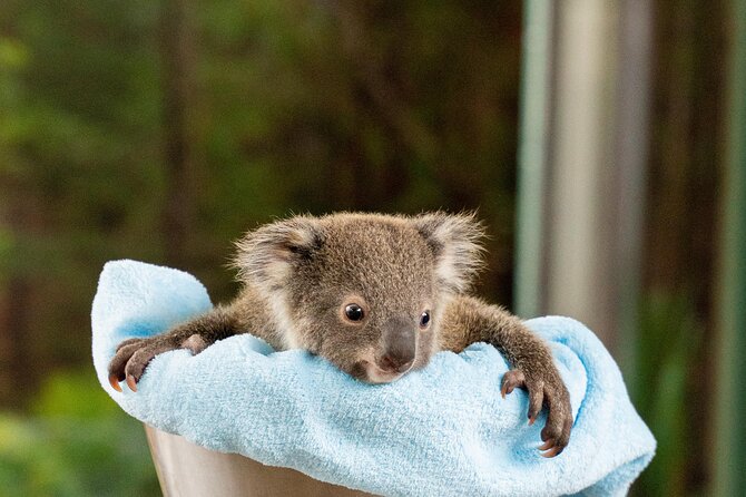 WILD LIFE Sydney Entrance Ticket - Walking Through Nine Habitats in One Practical Route