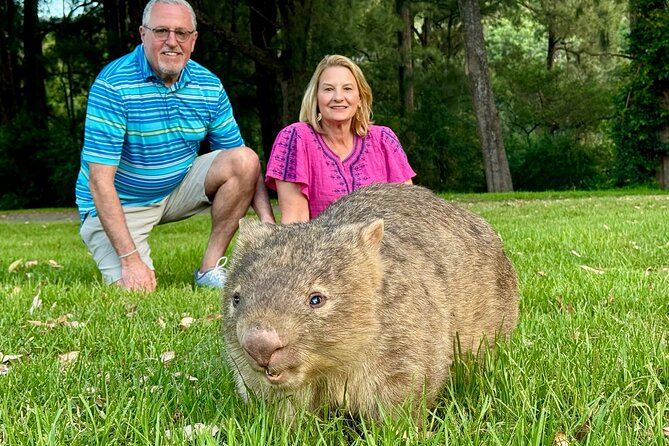 WILD Wombat and Kangaroo Day Tour, All Inclusive - Key highlights worth your attention