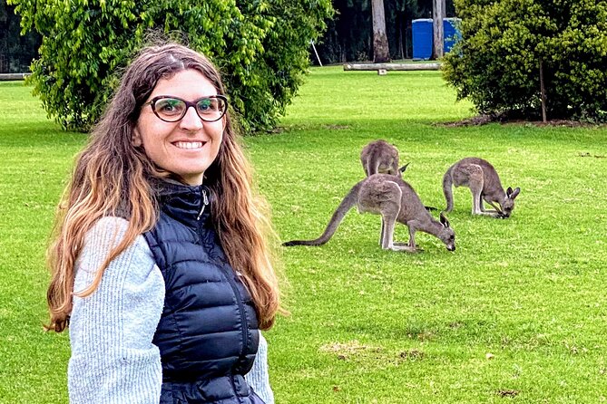 WILD Wombat and Kangaroo Day Tour, All Inclusive - Dinner in Robertson: Included pub food, with multiple choices