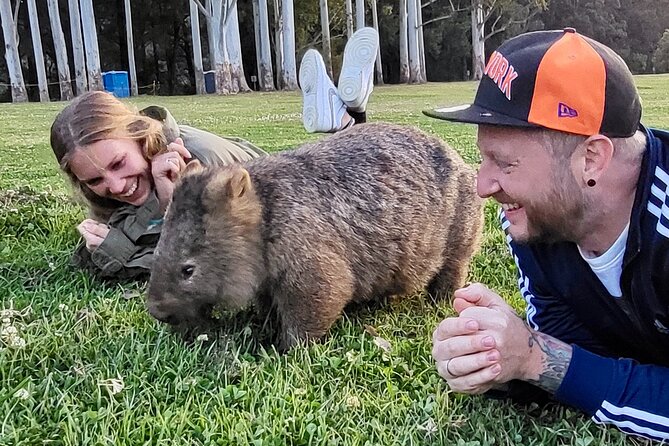 WILD Wombat and Kangaroo Day Tour, All Inclusive - Macquarie Pass National Park: The drive through eucalyptus you can feel
