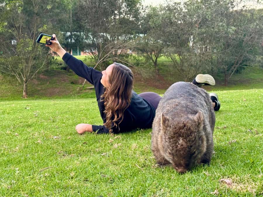 WILD Wombats and Kangaroo Experience, All Inclusive, Sydney - Why This Sydney Wildlife Day Feels Different
