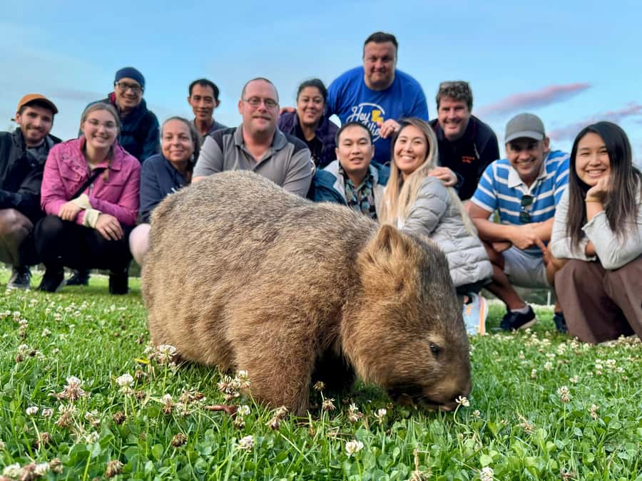 WILD Wombats and Kangaroo Experience, All Inclusive, Sydney - Should You Book This WILD Wombats and Kangaroo Experience in Sydney?