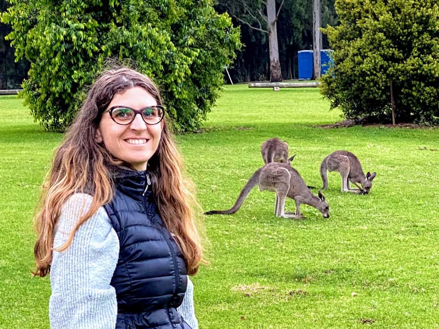 WILD Wombats and Kangaroo Experience, All Inclusive, Sydney - The $176 Value: What You Really Get (and What Changes by Season)