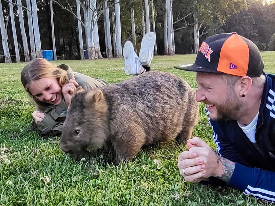 WILD Wombats and Kangaroo Experience, All Inclusive, Sydney - Macquarie Pass National Park, Scenic Driving, and the First Waterfall Moment