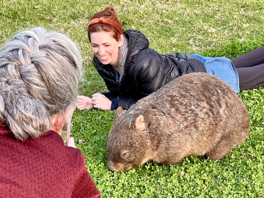 WILD Wombats and Kangaroo Experience, All Inclusive, Sydney - Waterfalls, Pub Stops, and the Food That Keeps the Day Happy