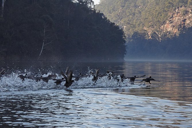 Wilderness kayak adventure with gourmet food - Wilderness Kayaking in Nepean Gorge, With Food That Makes It Worth the Morning