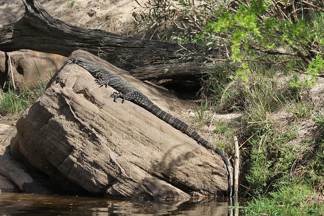 Wilderness kayak adventure with gourmet food - Paddling Up the River Into Nepean Gorge, at Your Group’s Pace