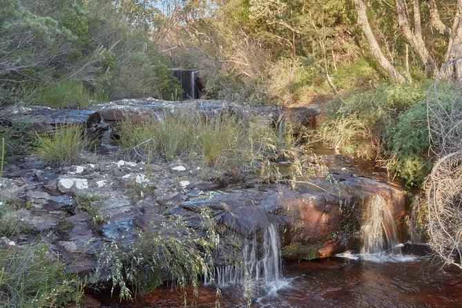 Wilderness kayak adventure with gourmet food - Where You Start: Nepean Belle Paddlewheeler Jetty and the Tench Reserve