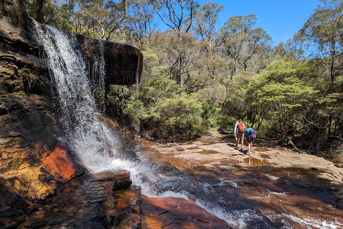 Wilderness, Waterfalls, Three Sisters BLUE MOUNTAINS PRIVATE TOUR - Charles Darwin walk and Wentworth Falls: the heart of the canyon scenery