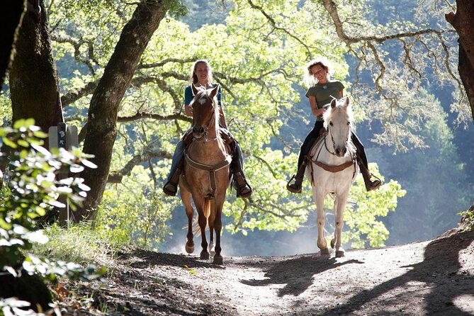Wine Tours Sydney - Southern Highlands Day Escape, Full Day Wine Tasting Tour - Eling Forest Winery: Lunch With Wine and Those Views
